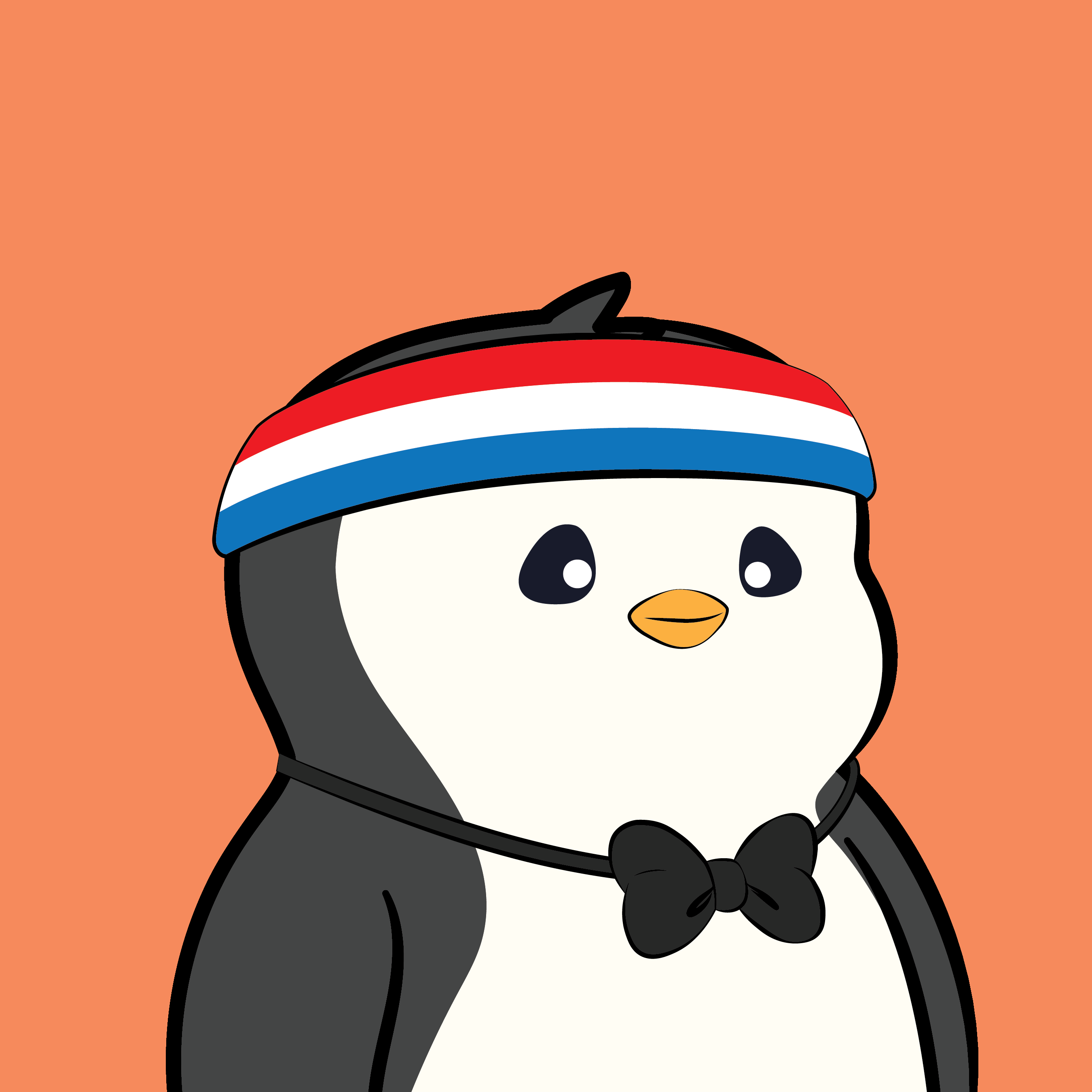 Pudgy Penguins - Pudgy Penguins - Pudgy Penguin #6148 - NFT # 6148