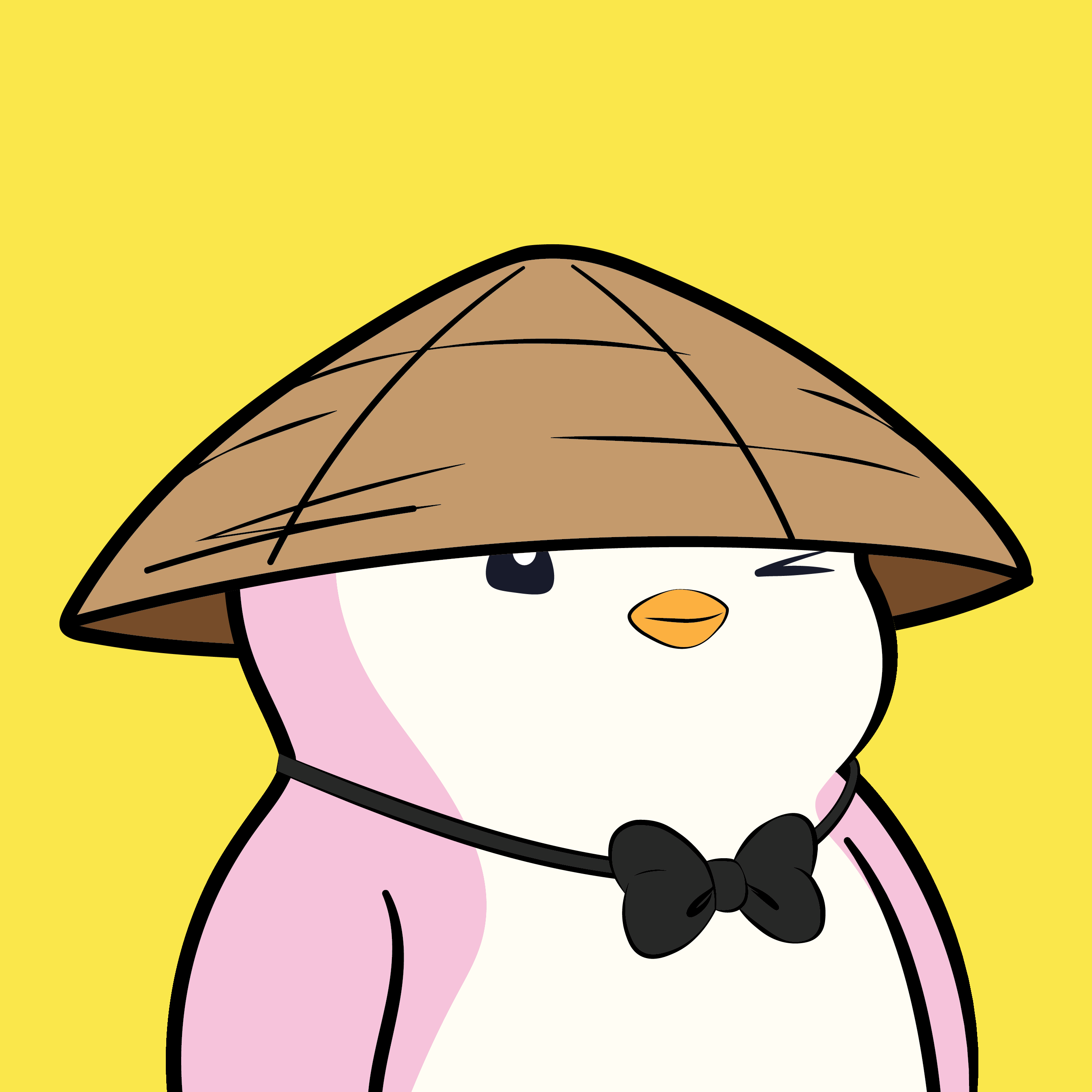 Pudgy Penguins - Pudgy Penguins - Pudgy Penguin #6213 - NFT # 6213