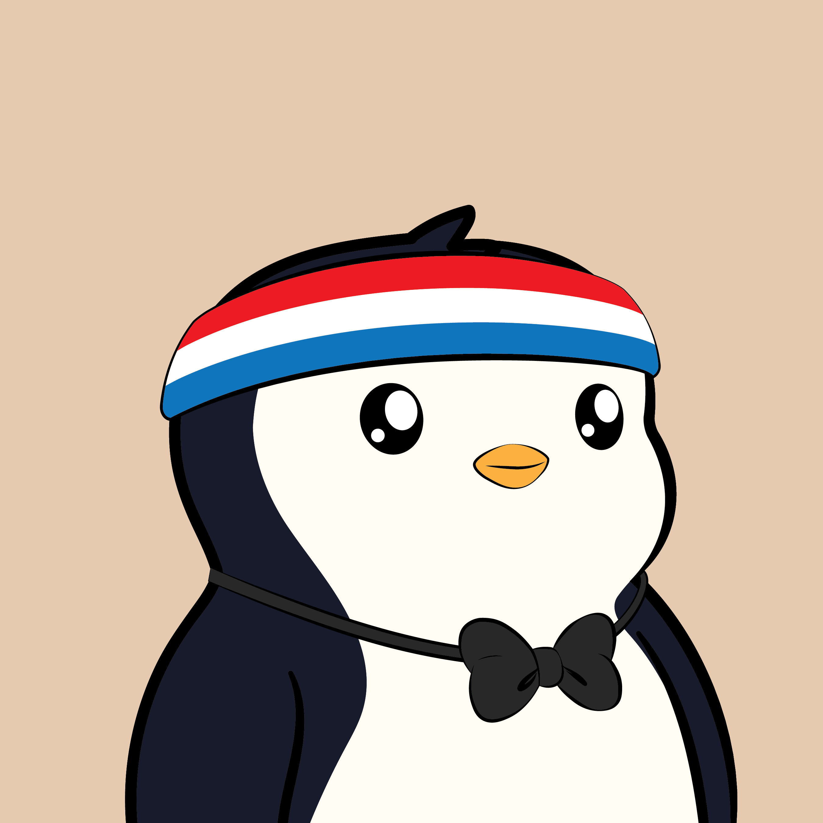 Pudgy Penguins - Pudgy Penguins - Pudgy Penguin #6223 - NFT # 6223