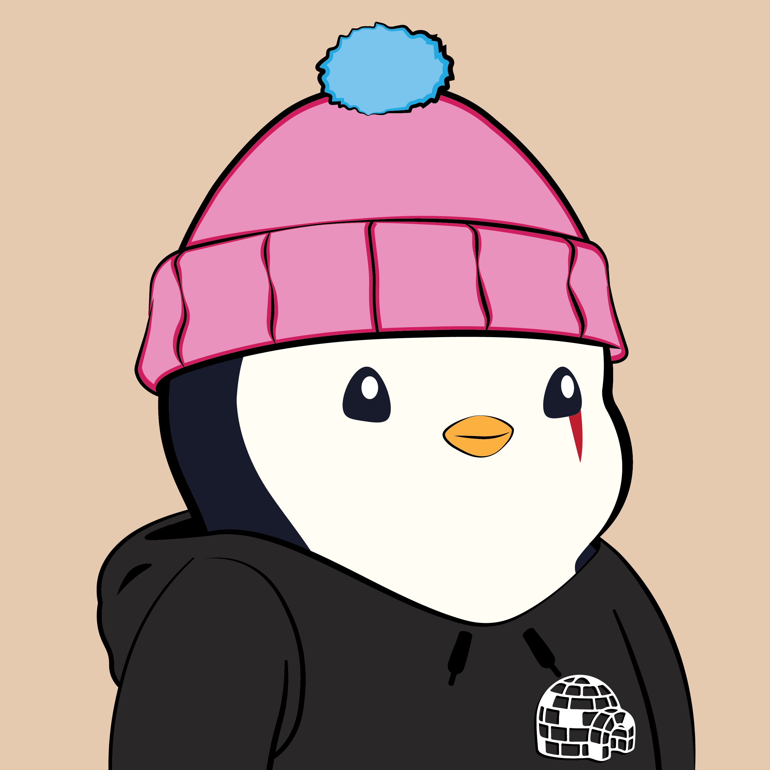 Pudgy Penguins - Pudgy Penguins - Pudgy Penguin #6269 - NFT # 6269