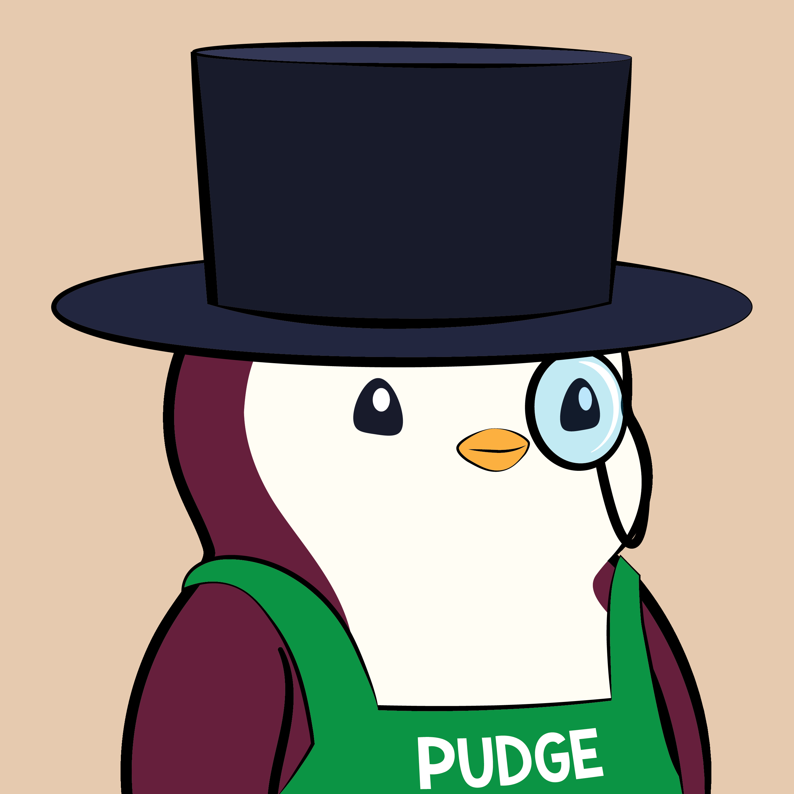 Pudgy Penguins - Pudgy Penguins - Pudgy Penguin #6271 - NFT # 6271