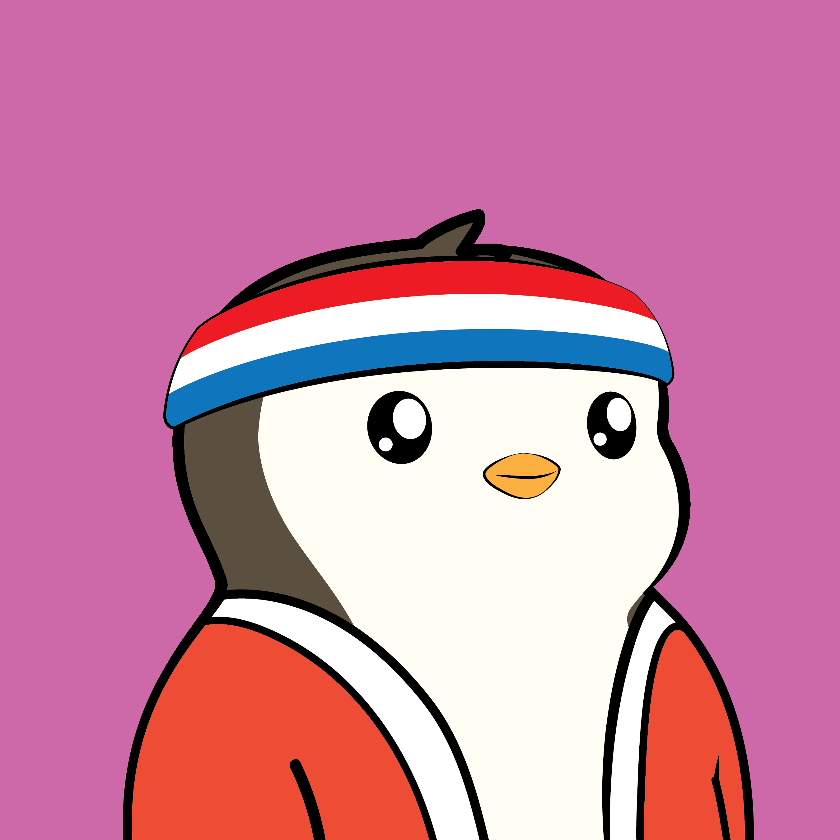 Pudgy Penguins - Pudgy Penguins - Pudgy Penguin #628 - NFT # 628