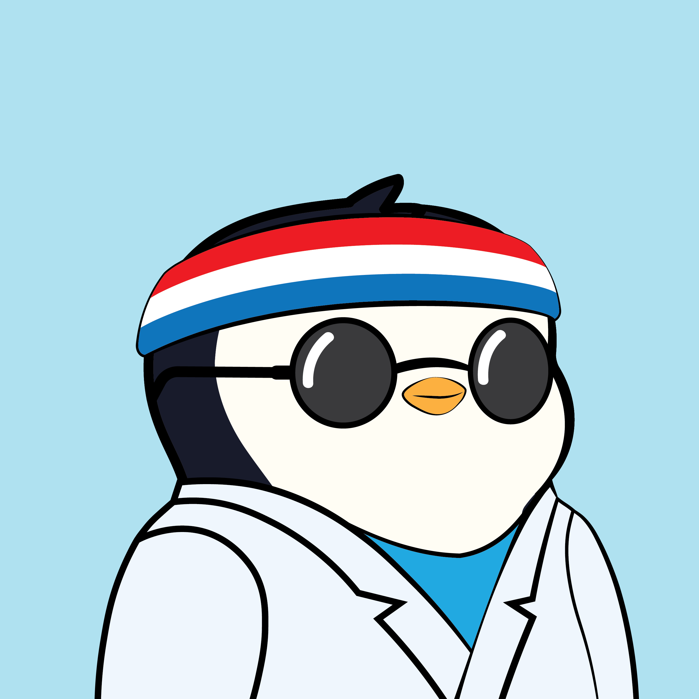 Pudgy Penguins - Pudgy Penguins - Pudgy Penguin #6329 - NFT # 6329