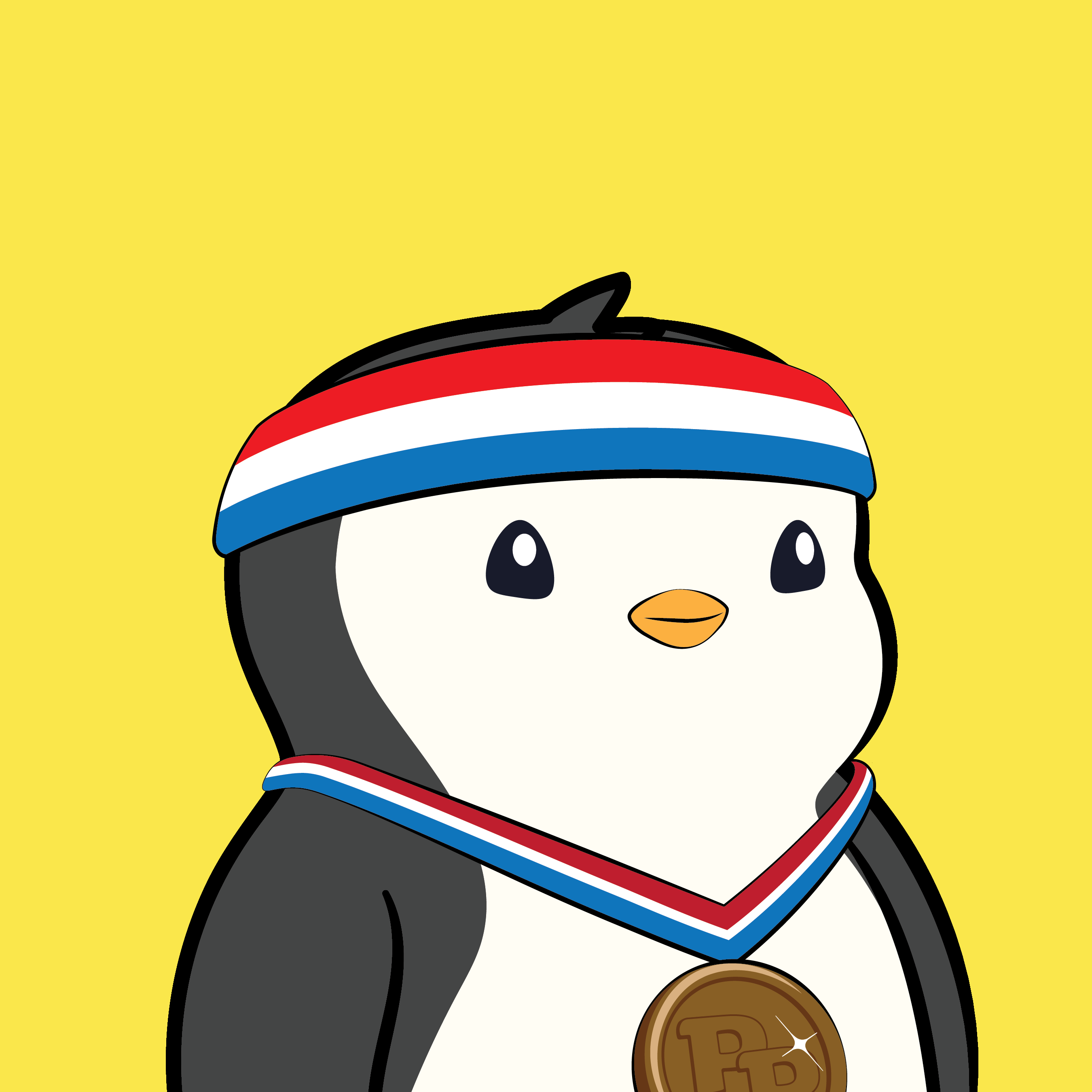 Pudgy Penguins - Pudgy Penguins - Pudgy Penguin #6348 - NFT # 6348