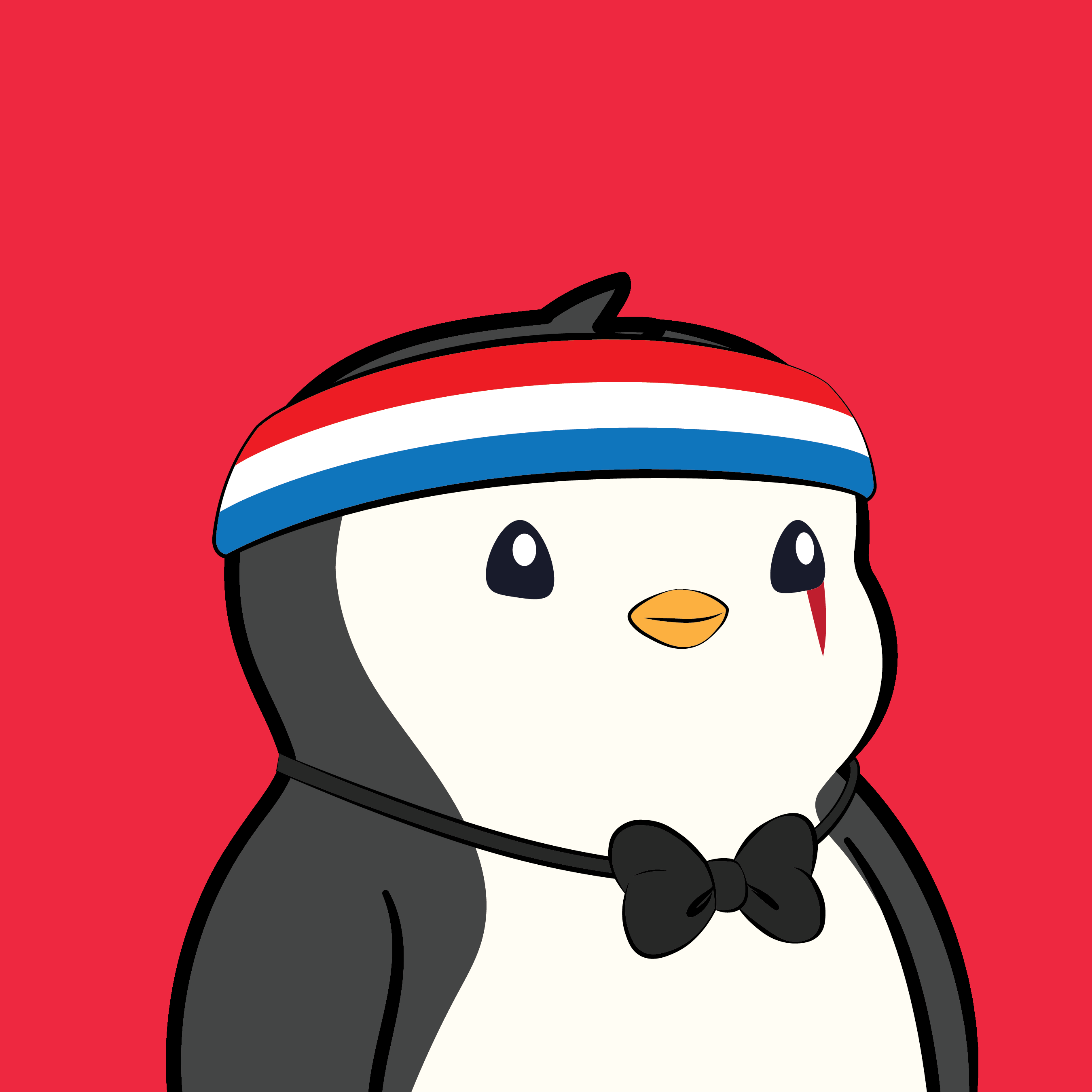 Pudgy Penguins - Pudgy Penguins - Pudgy Penguin #6765 - NFT # 6765