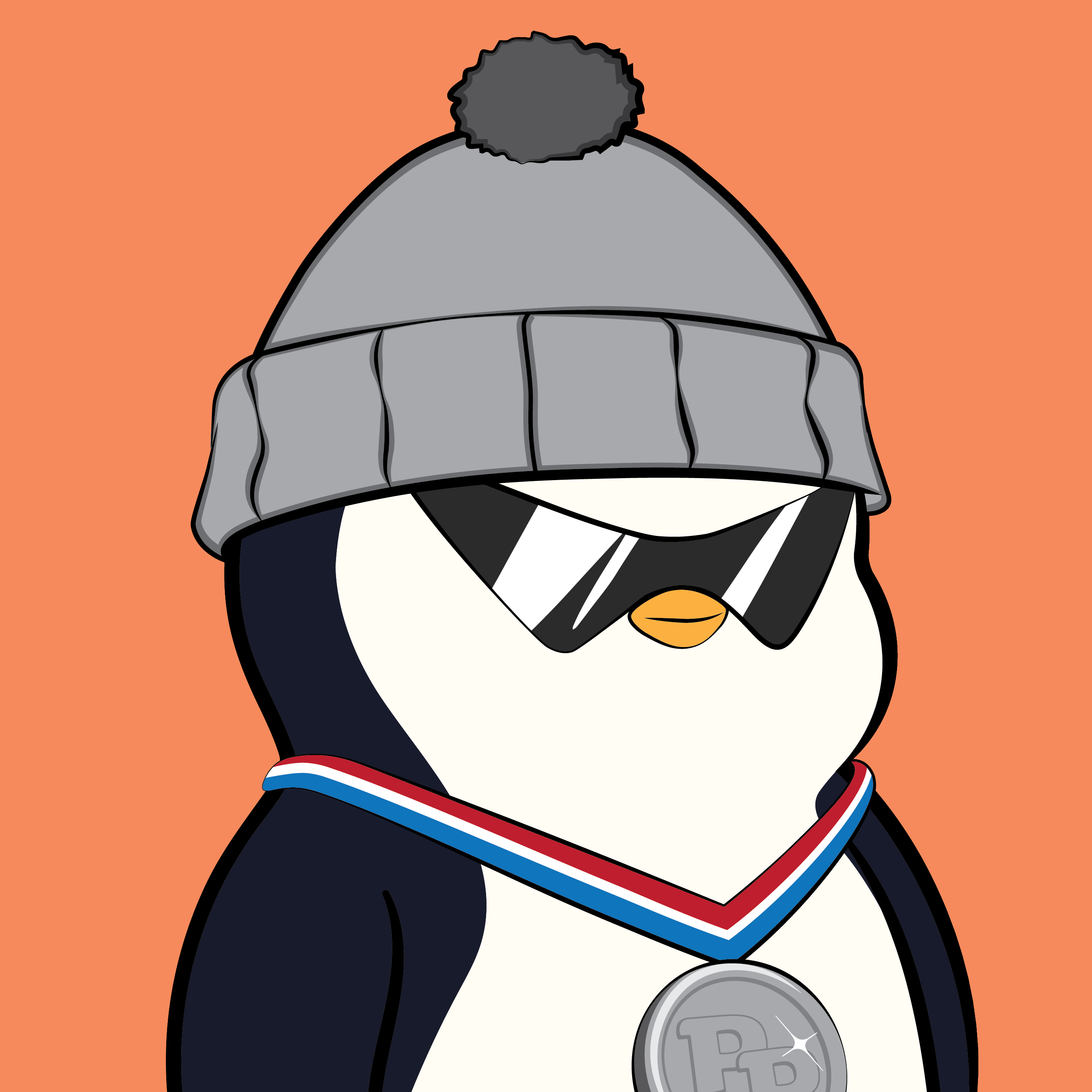 Pudgy Penguins - Pudgy Penguins - Pudgy Penguin #6807 - NFT # 6807