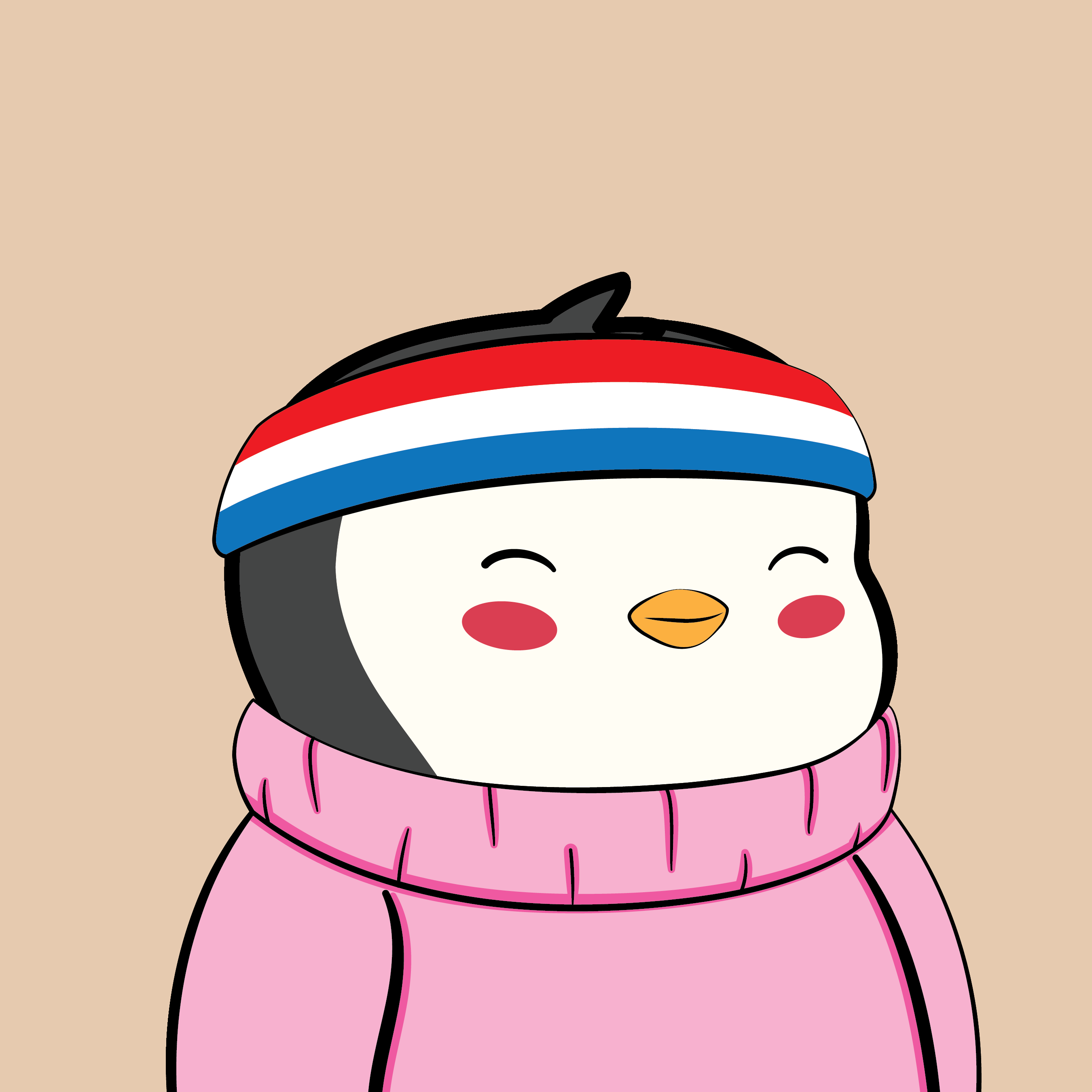 Pudgy Penguins - Pudgy Penguins - Pudgy Penguin #6849 - NFT # 6849