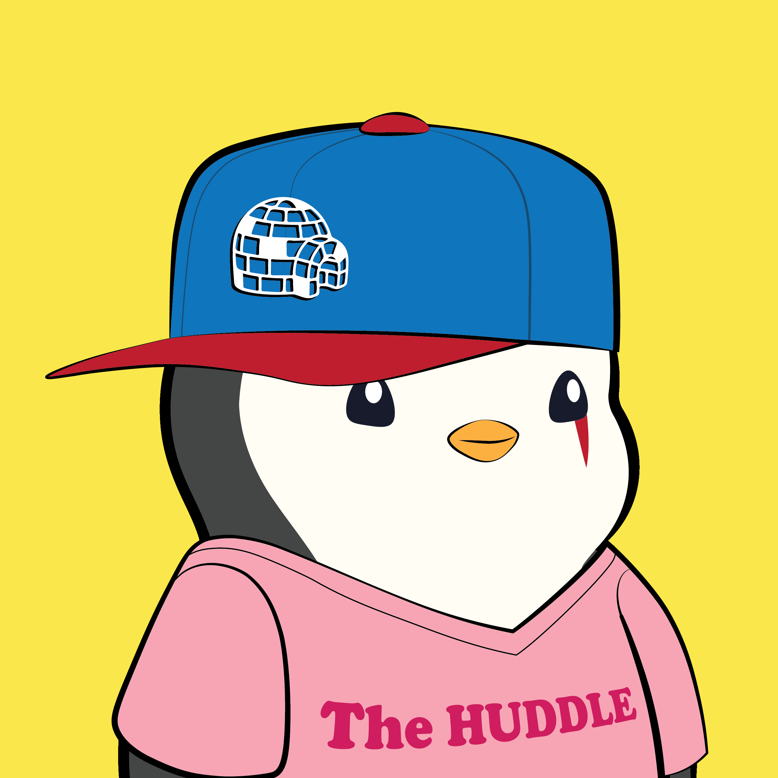 Pudgy Penguins - Pudgy Penguins - Pudgy Penguin #6896 - NFT # 6896