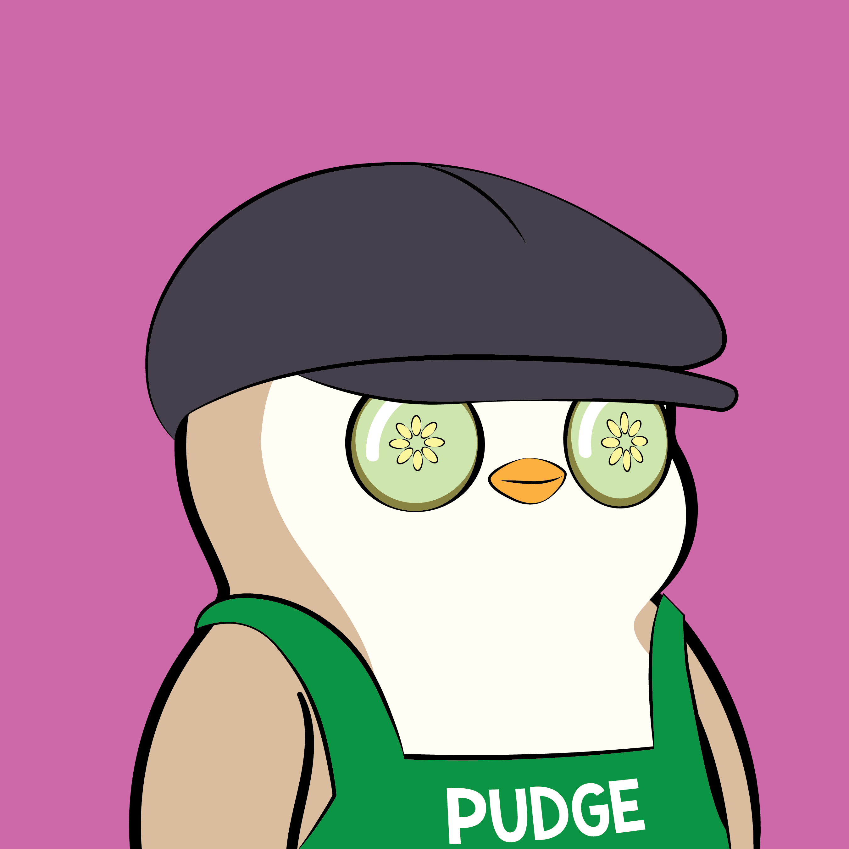 Pudgy Penguins - Pudgy Penguins - Pudgy Penguin #714 - NFT # 714