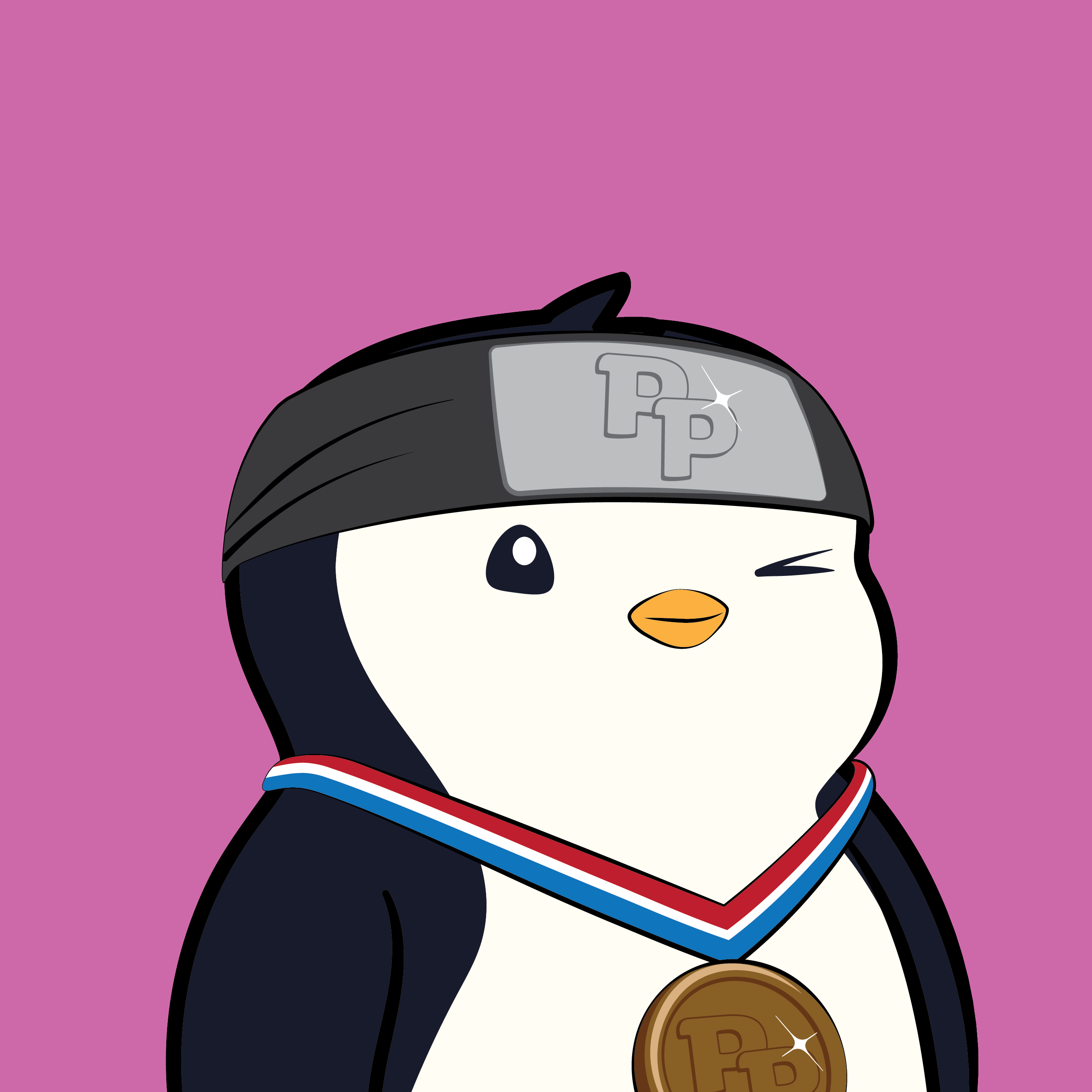 Pudgy Penguins - Pudgy Penguins - Pudgy Penguin #7552 - NFT # 7552