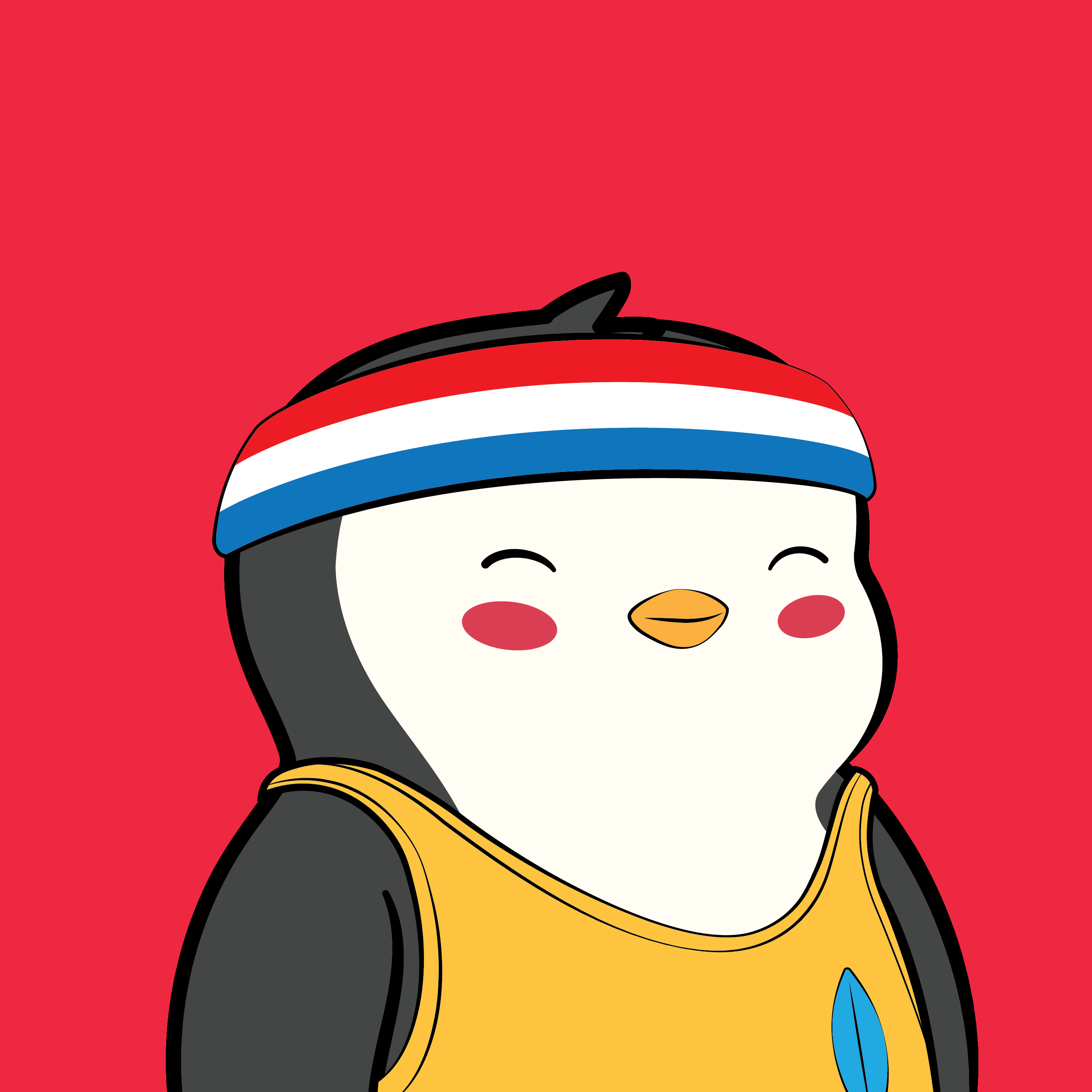 Pudgy Penguins - Pudgy Penguins - Pudgy Penguin #7655 - NFT # 7655