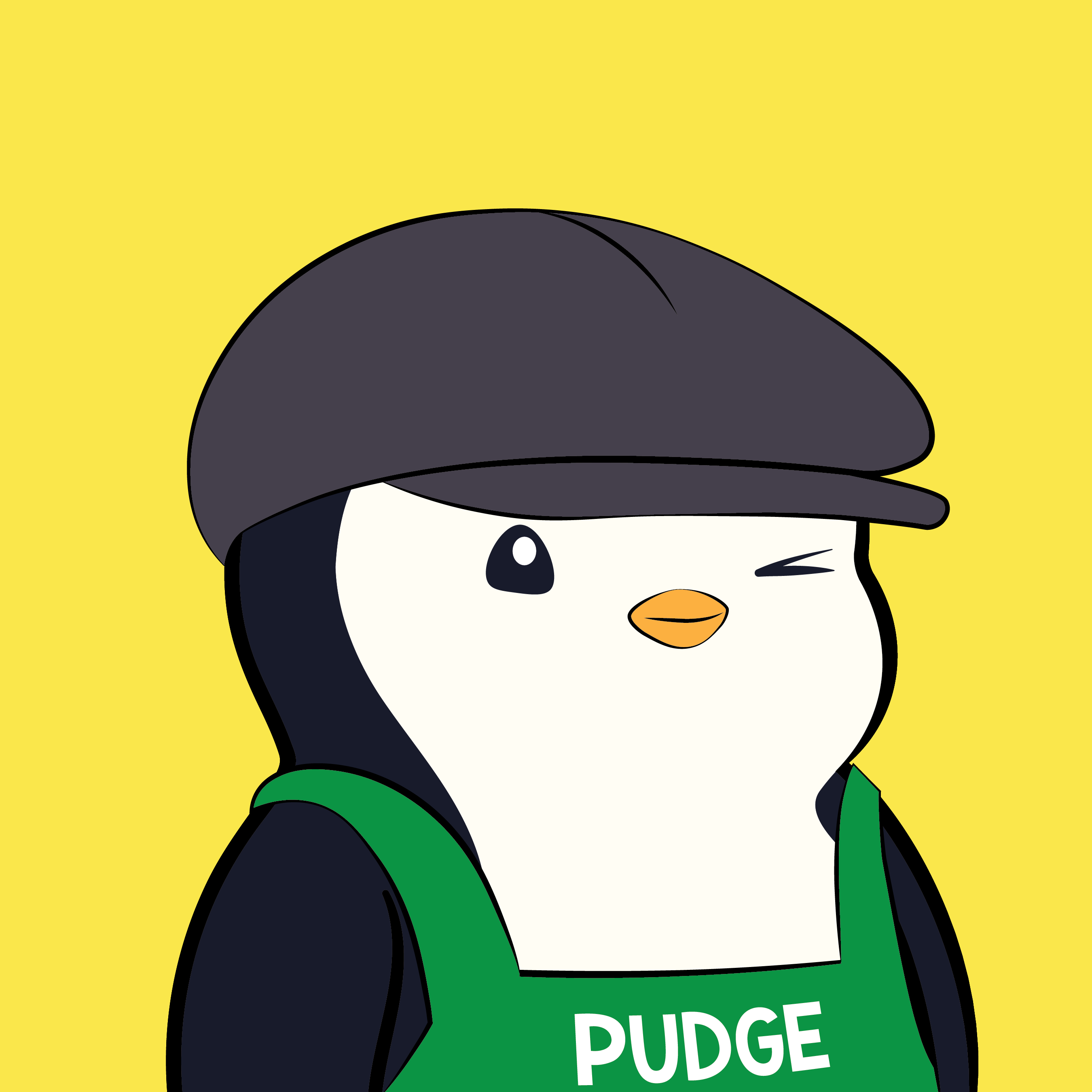 Pudgy Penguins - Pudgy Penguins - Pudgy Penguin #7807 - NFT # 7807