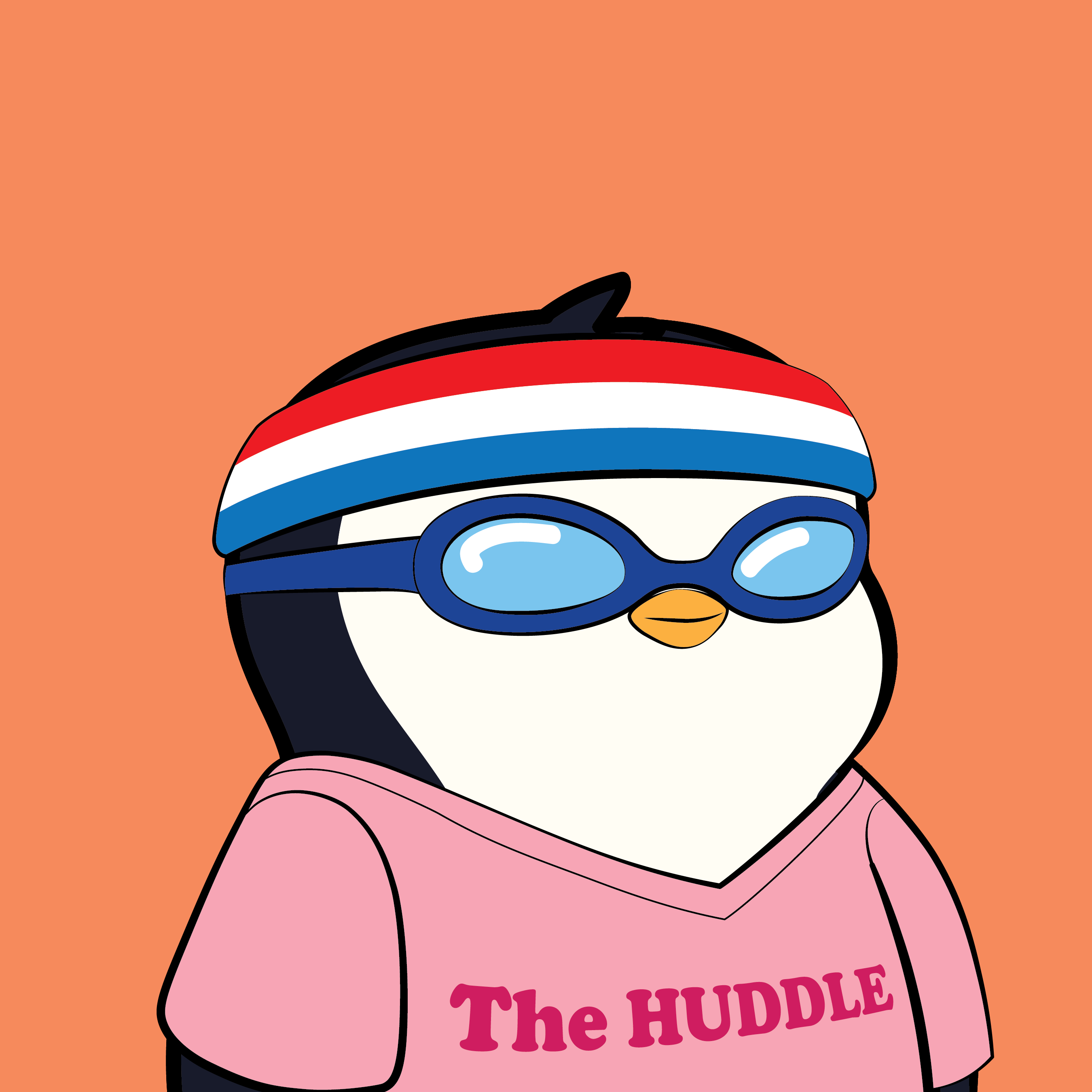 Pudgy Penguins - Pudgy Penguins - Pudgy Penguin #8058 - NFT # 8058