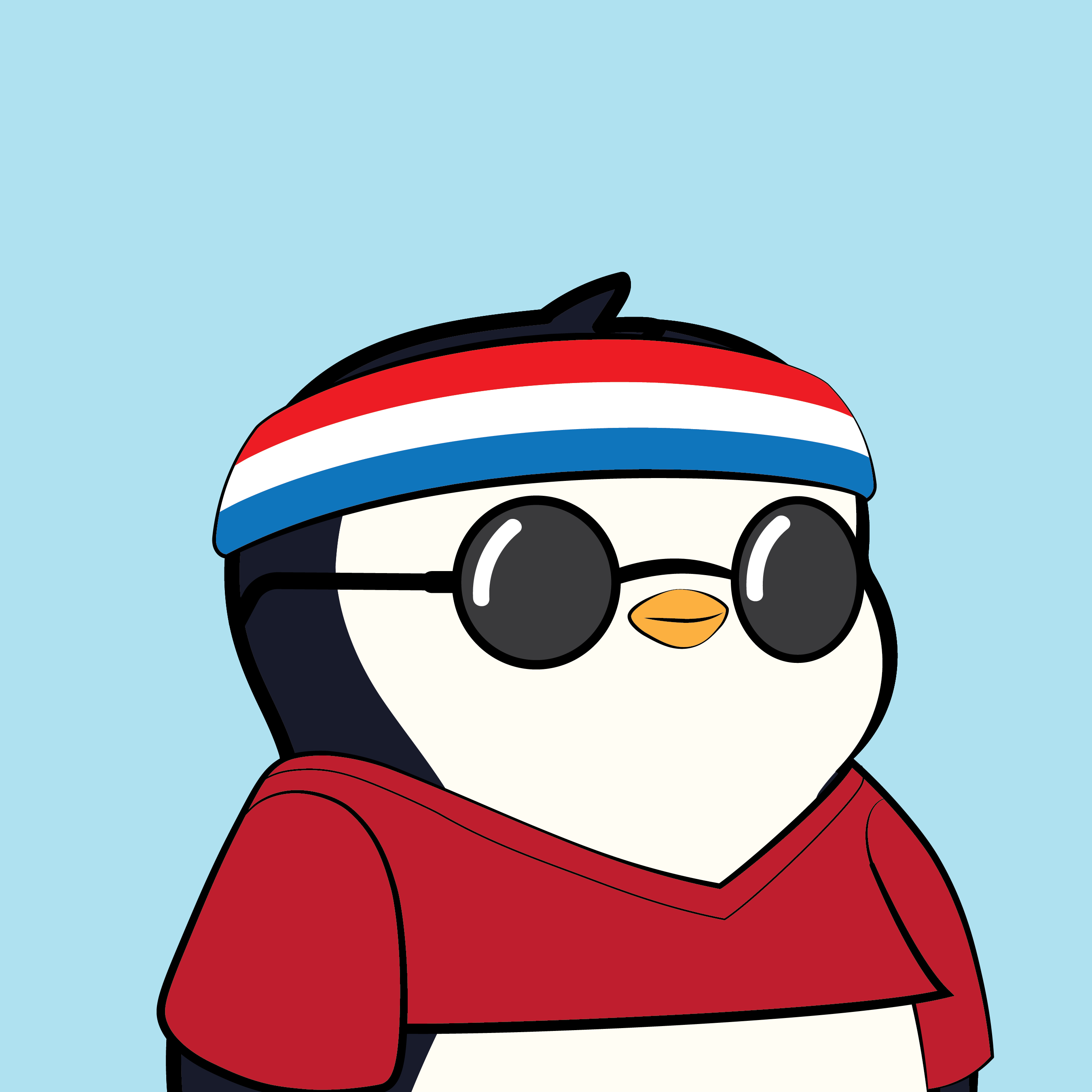 Pudgy Penguins - Pudgy Penguins - Pudgy Penguin #8070 - NFT # 8070