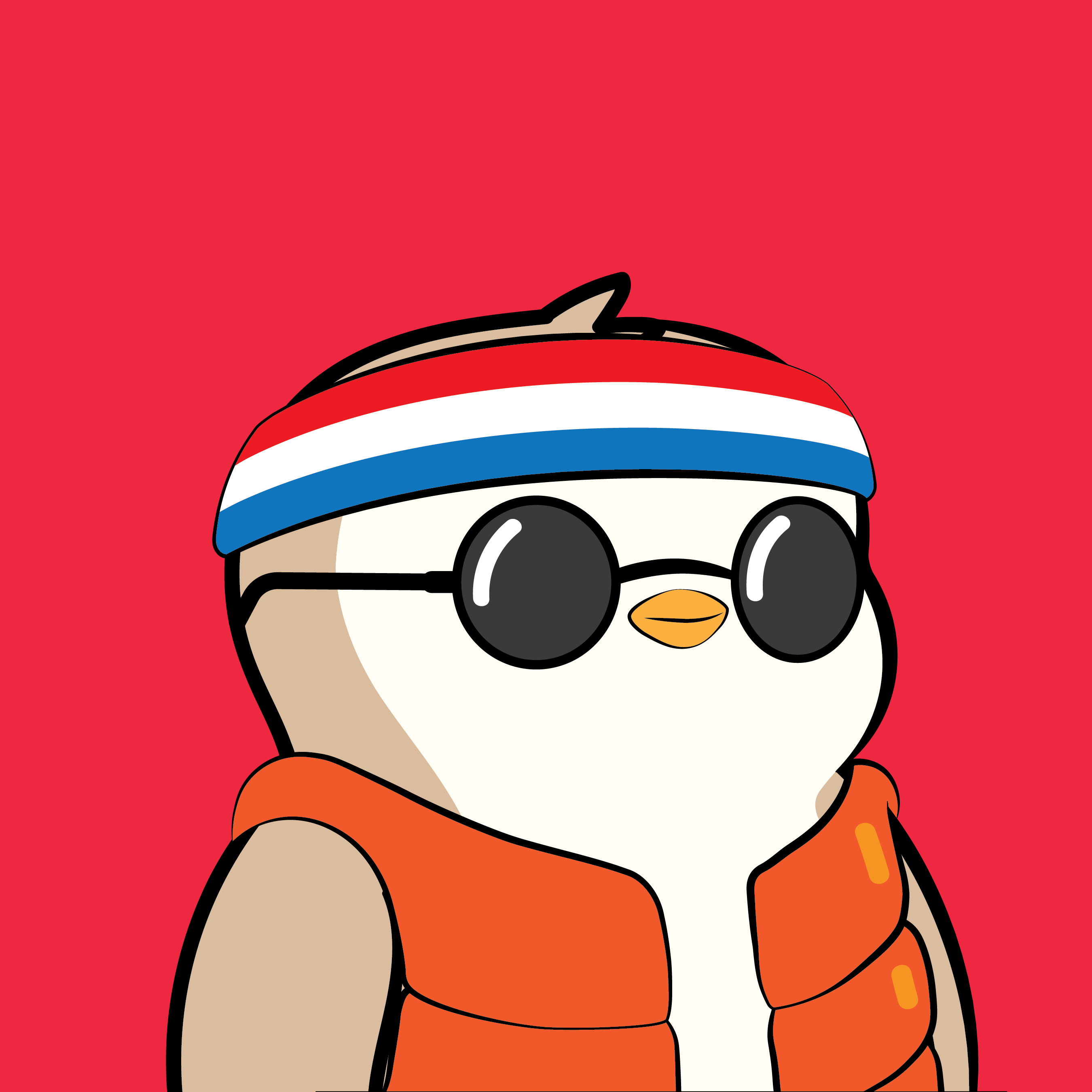 Pudgy Penguins - Pudgy Penguins - Pudgy Penguin #8193 - NFT # 8193