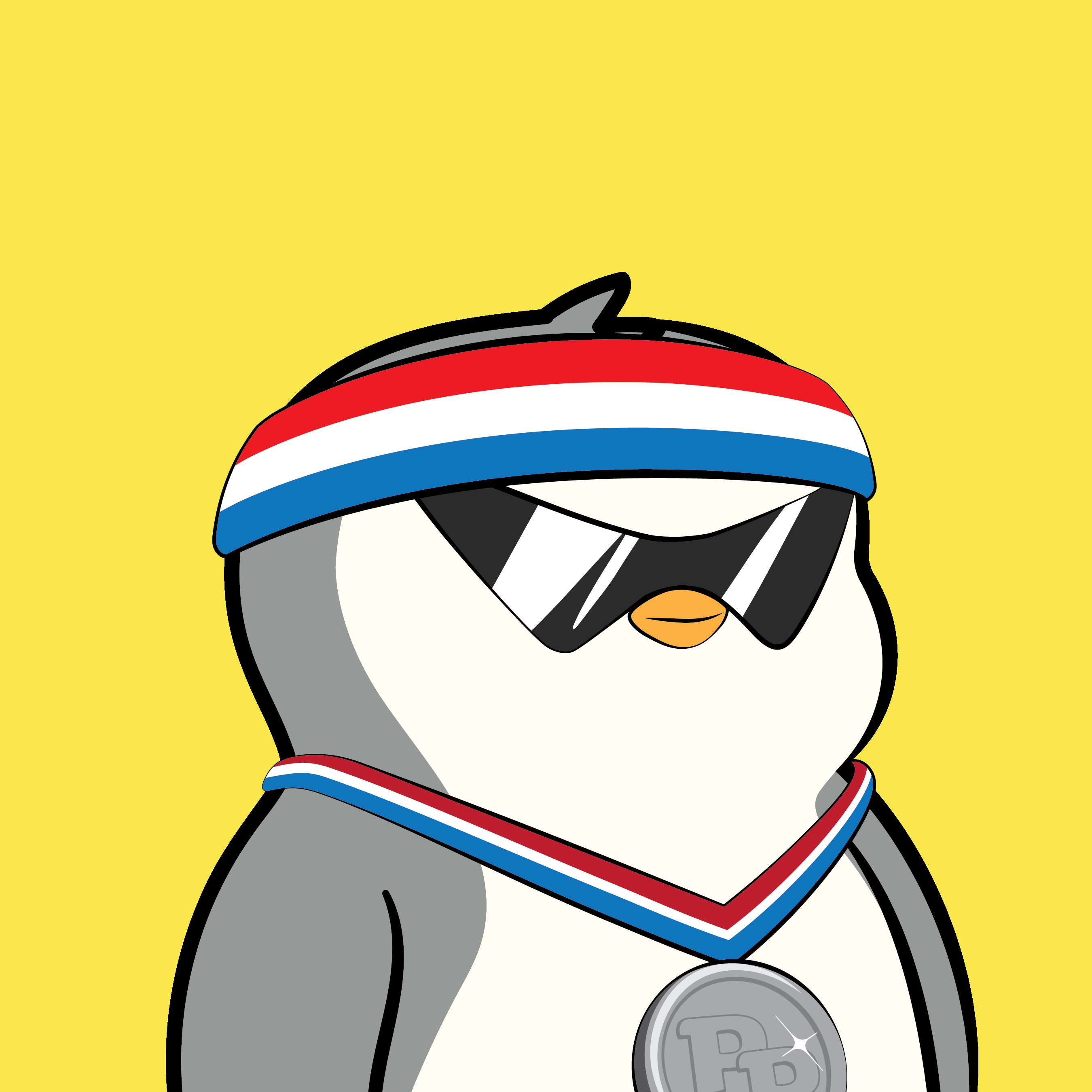 Pudgy Penguins - Pudgy Penguins - Pudgy Penguin #852 - NFT # 852