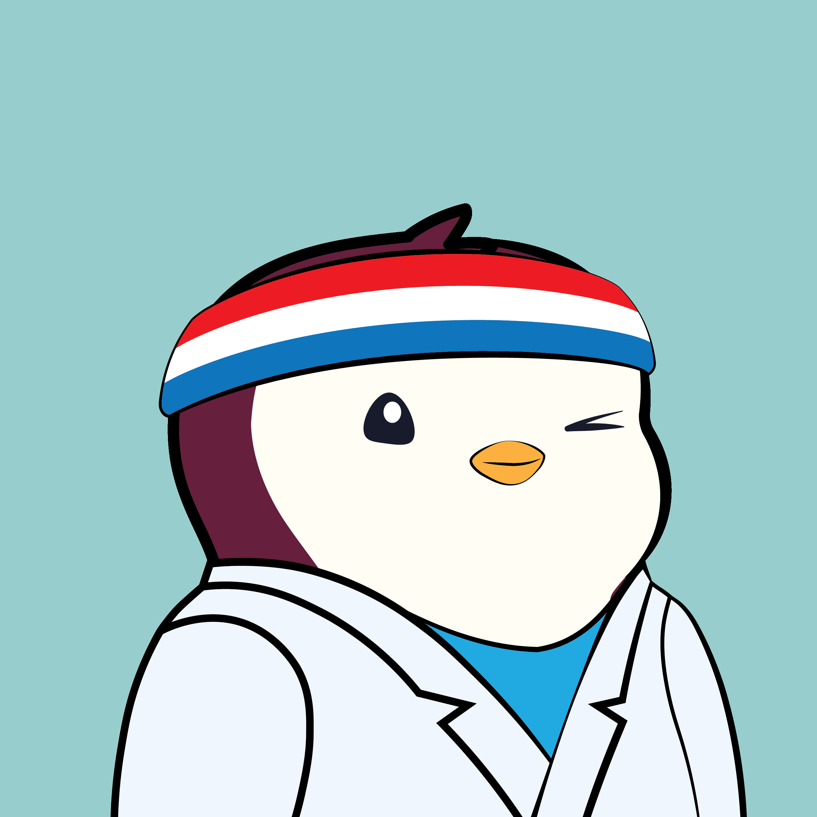 Pudgy Penguins - Pudgy Penguins - Pudgy Penguin #886 - NFT # 886