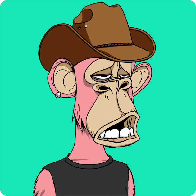 Yuga Labs - Bored Ape Yacht Club - NFT # 2675