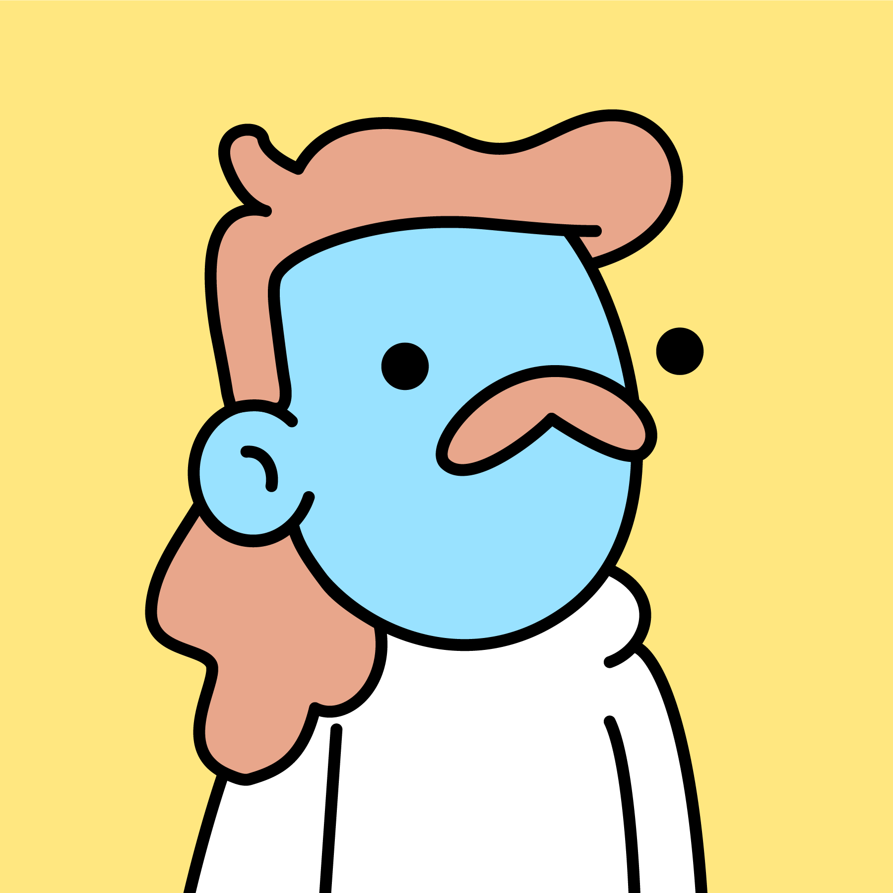 The Doodles Founders - Doodles - Doodle #1376 - NFT # 1376