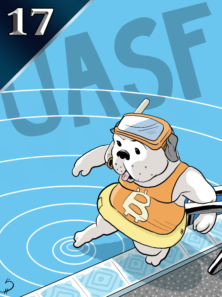 Curio Cards - Curio Cards - UASF - NFT # 17