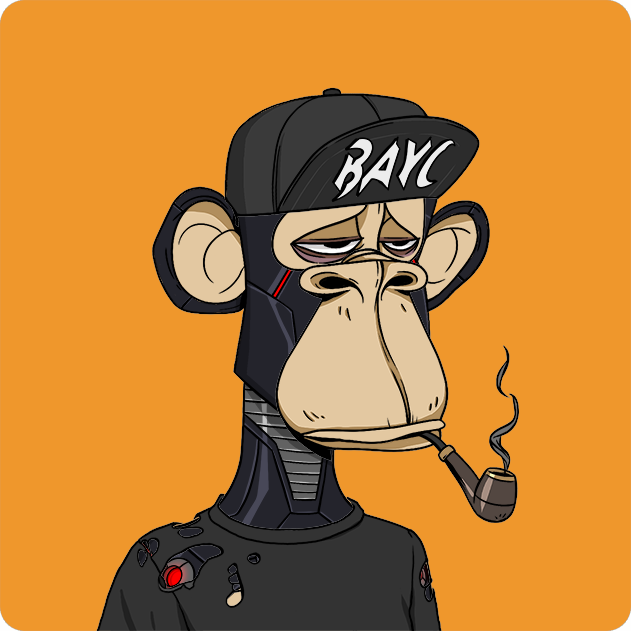 Yuga Labs - Bored Ape Yacht Club - NFT # 3146