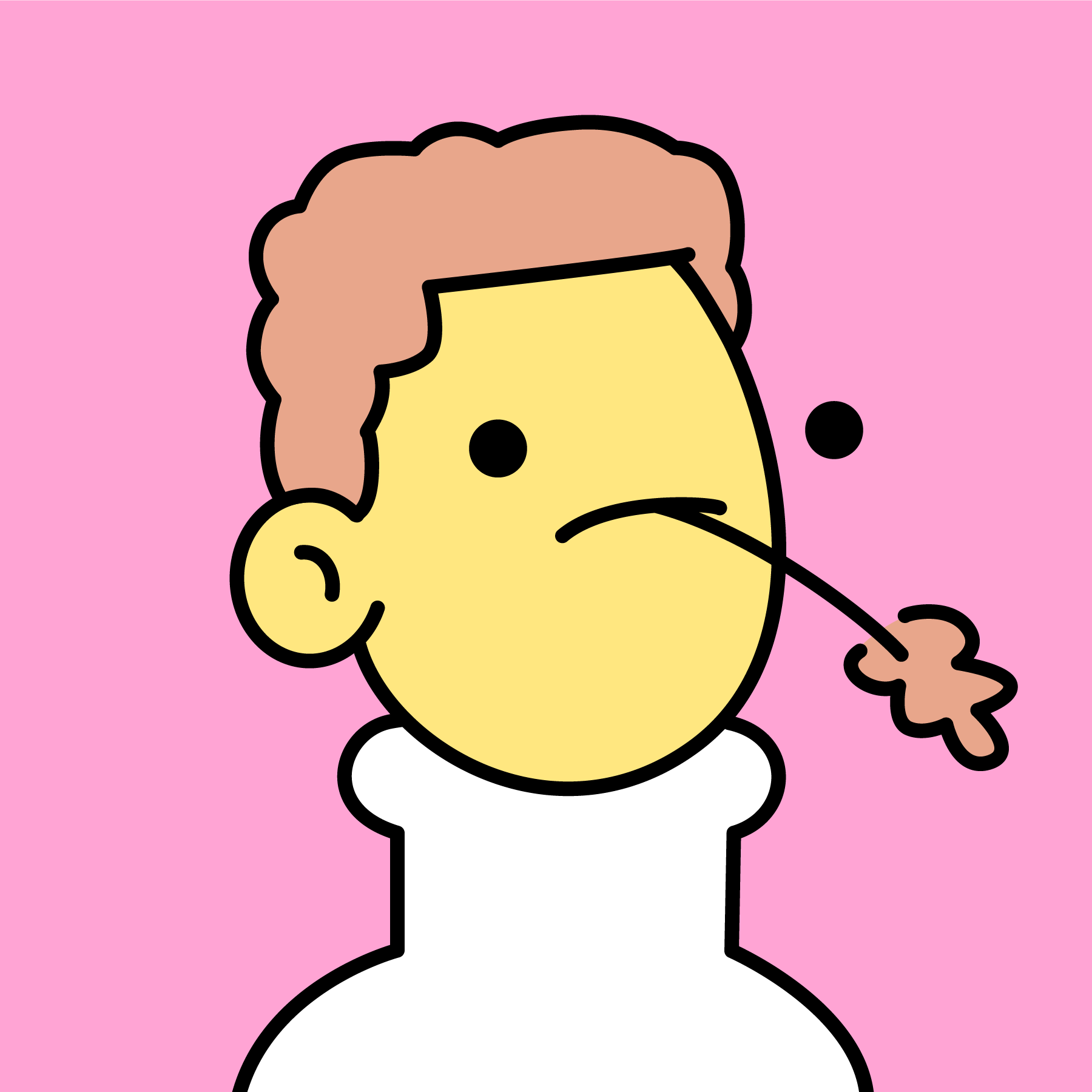 The Doodles Founders - Doodles - Doodle #8020 - NFT # 8020