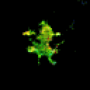 0xmons - 0xmons - Champitha - NFT # 292