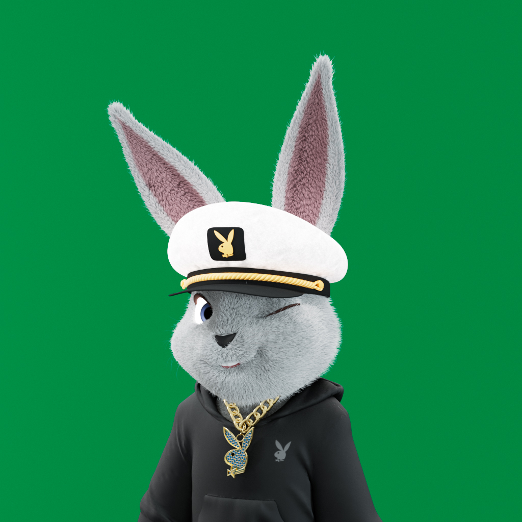 Playboy - The Rabbitars - Rabbitar #505 - NFT # 505
