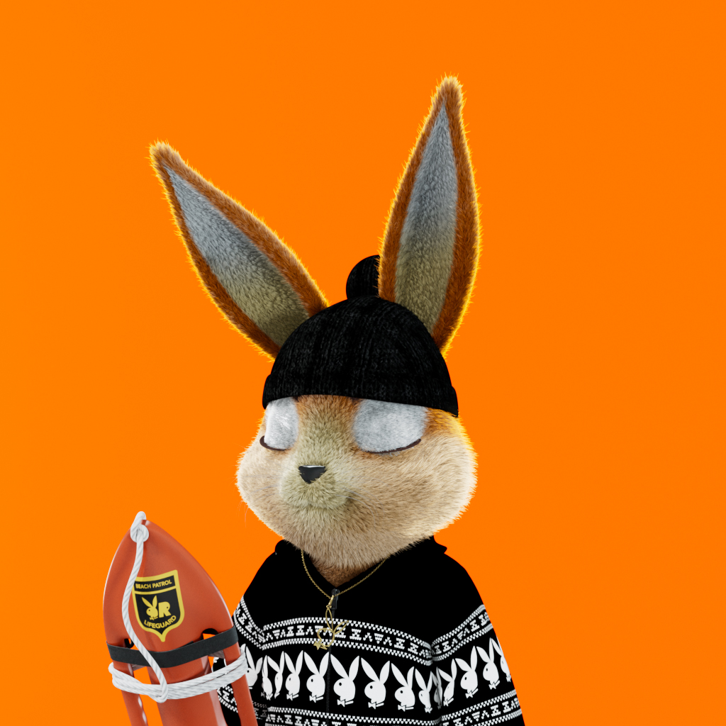 Playboy - The Rabbitars - Rabbitar #4989 - NFT # 4989