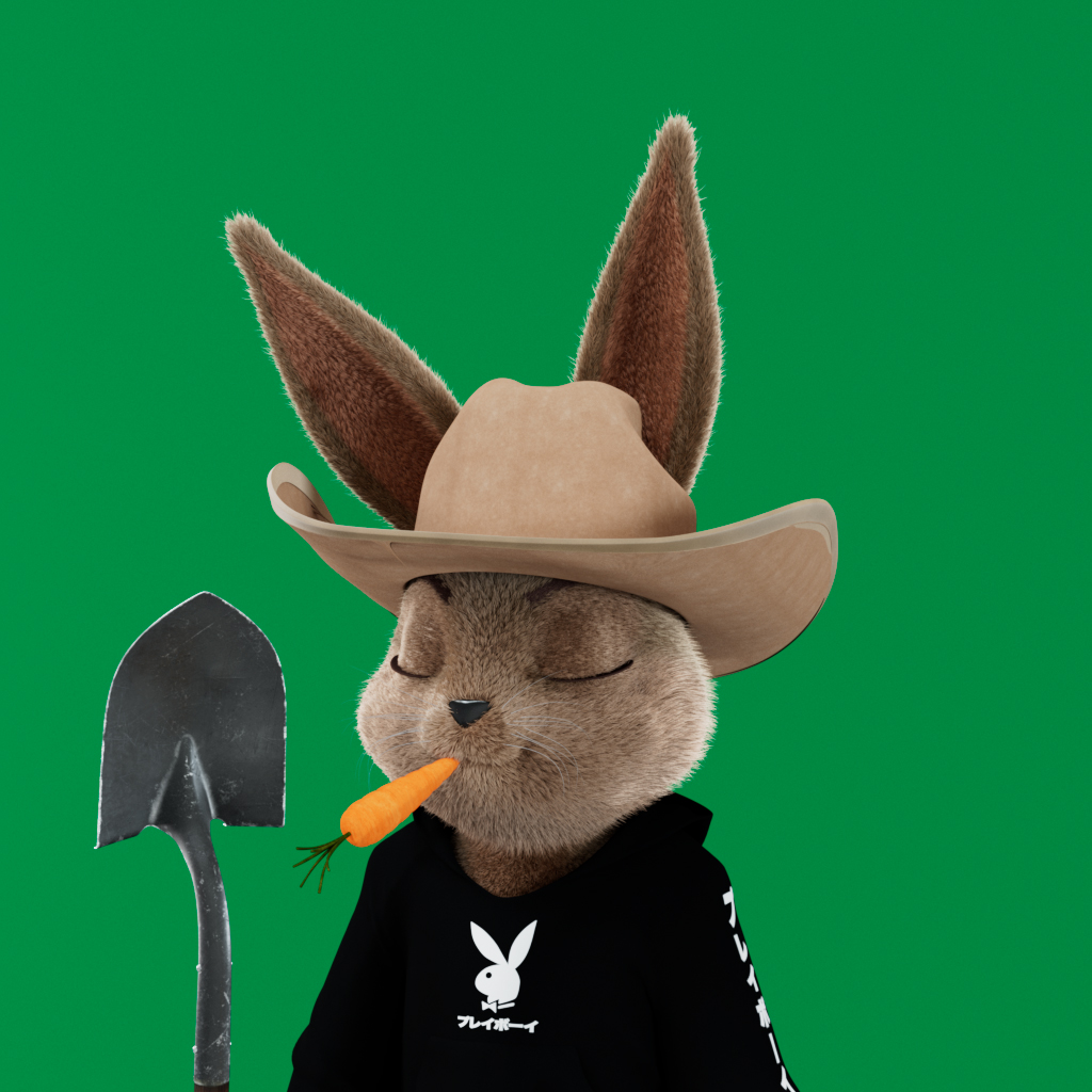 Playboy - The Rabbitars - Rabbitar #5494 - NFT # 5494