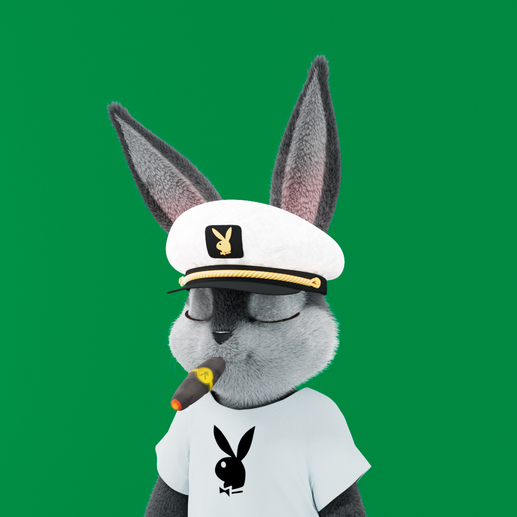Playboy - The Rabbitars - Rabbitar #9724 - NFT # 9724