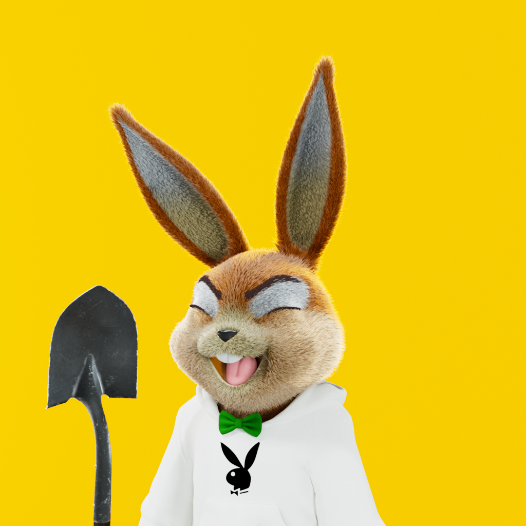 Playboy - The Rabbitars - Rabbitar #9991 - NFT # 9991