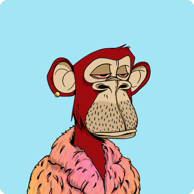 Yuga Labs - Bored Ape Yacht Club - NFT # 562