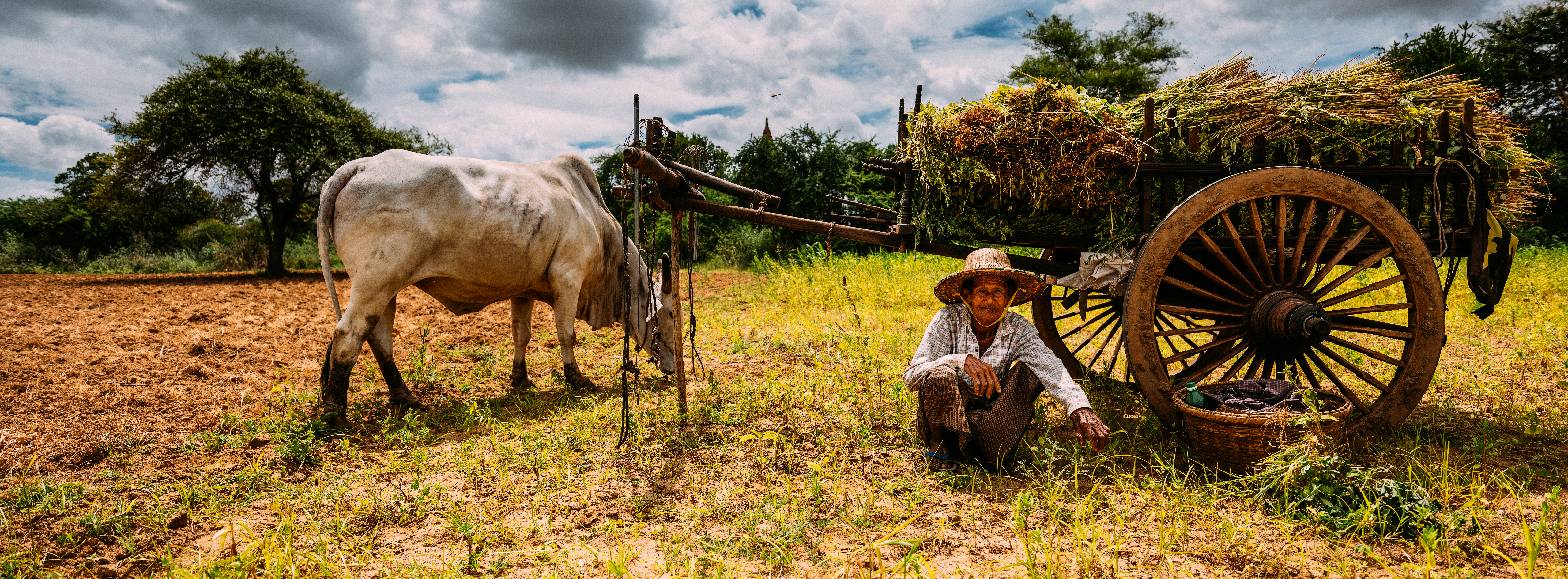 Rizacan Kumas - Panoramic Portraits - Panoramic Portraits #24 - NFT # 30