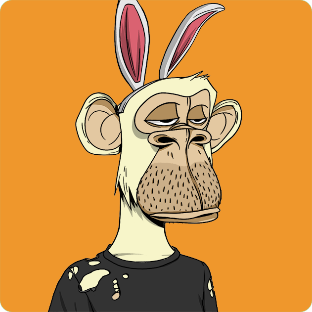 Yuga Labs - Bored Ape Yacht Club - NFT # 4884