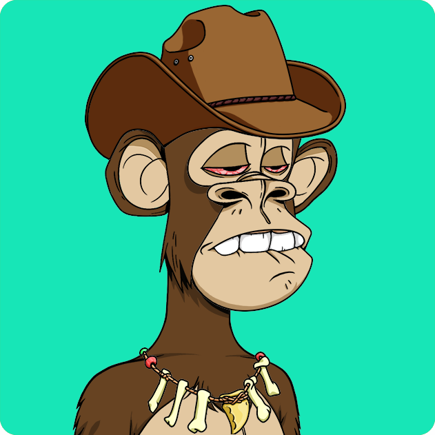 Yuga Labs - Bored Ape Yacht Club - NFT # 4847