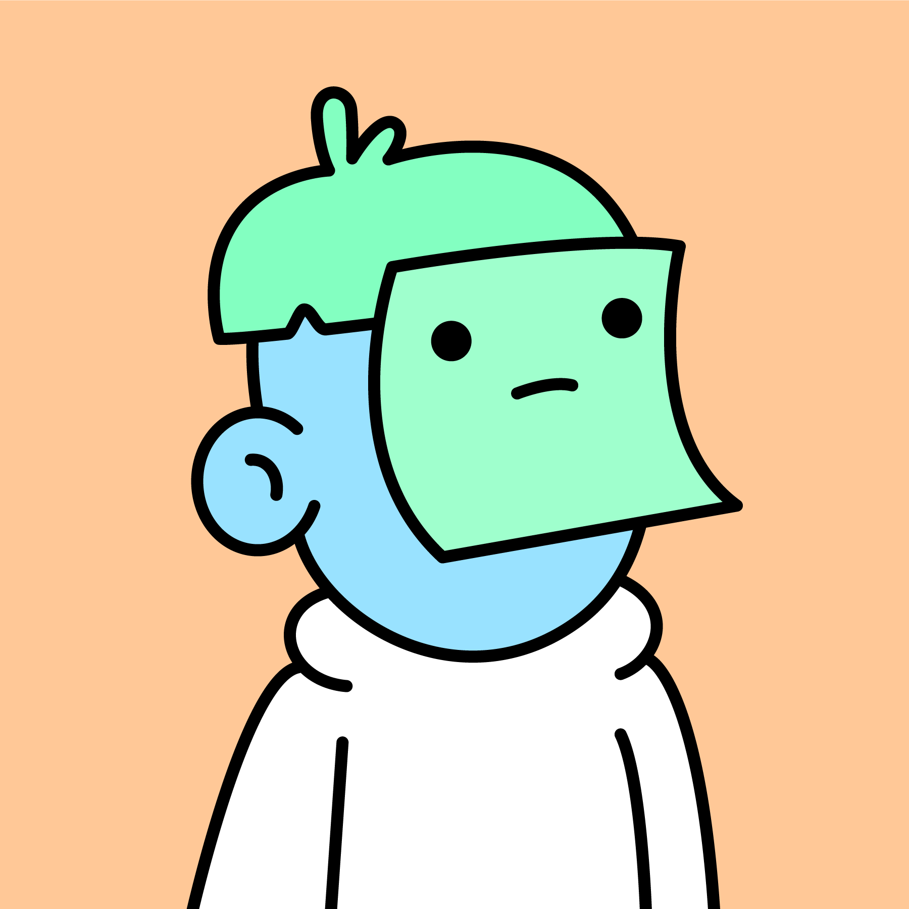 The Doodles Founders - Doodles - Doodle #4763 - NFT # 4763