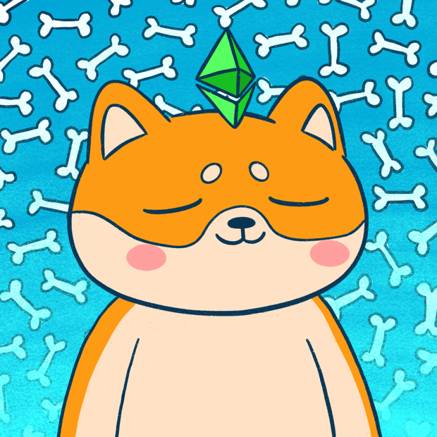 SUZIE - Super Shiba Club - Super Shiba #5737 - NFT # 5737